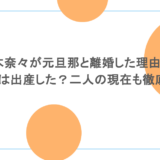 鈴木奈々が元旦那と離婚した理由は？子供は出産した？二人の現在も徹底調査