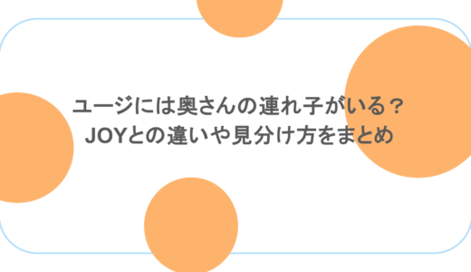 ユージには奥さんの連れ子がいる？JOYとの違いや見分け方をまとめ