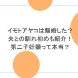イモトアヤコは離婚した？夫との馴れ初めも紹介！第二子妊娠って本当？