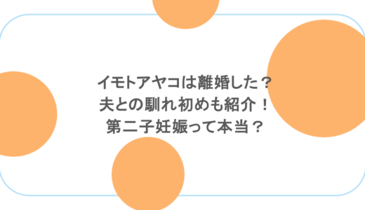 イモトアヤコは離婚した？夫との馴れ初めも紹介！第二子妊娠って本当？